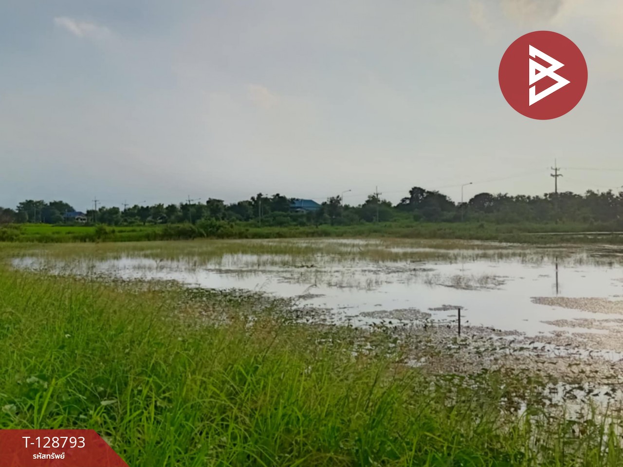 ขายที่ดินติดคลอง เนื้อที่ 7 ไร่ 3 งาน 59.1 ตร.วา ปากพลี นครนายก 5