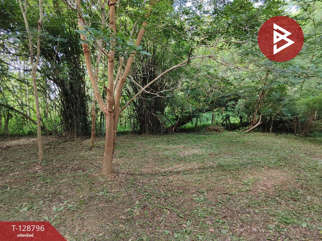 ขายบ้านเดี่ยวพร้อมที่ดิน เนื้อที่ 1 ไร่ 32 ตร.วา เชียงคาน เลย 14