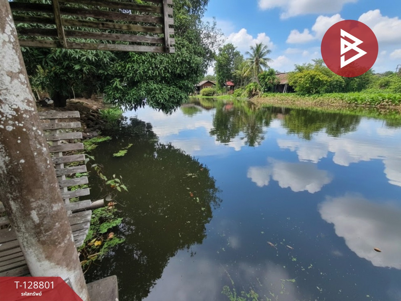 ขายที่ดินพร้อมบ้านและออฟฟิศ เนื้อที่ 6 ไร่ 2 งาน 62 ตารางวา สามพราน นครปฐม 12