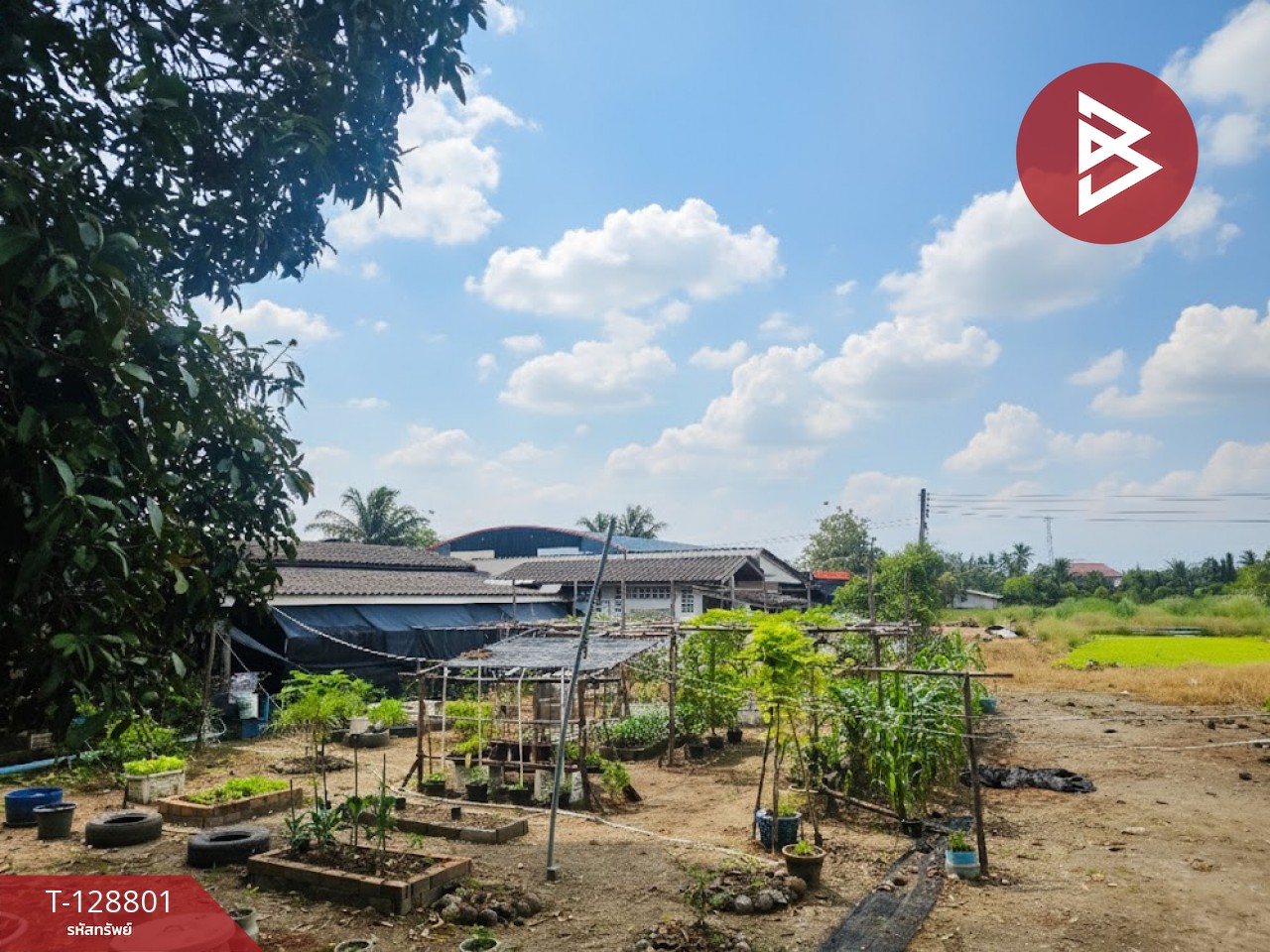 ขายที่ดินพร้อมบ้านและออฟฟิศ เนื้อที่ 6 ไร่ 2 งาน 62 ตารางวา สามพราน นครปฐม 10