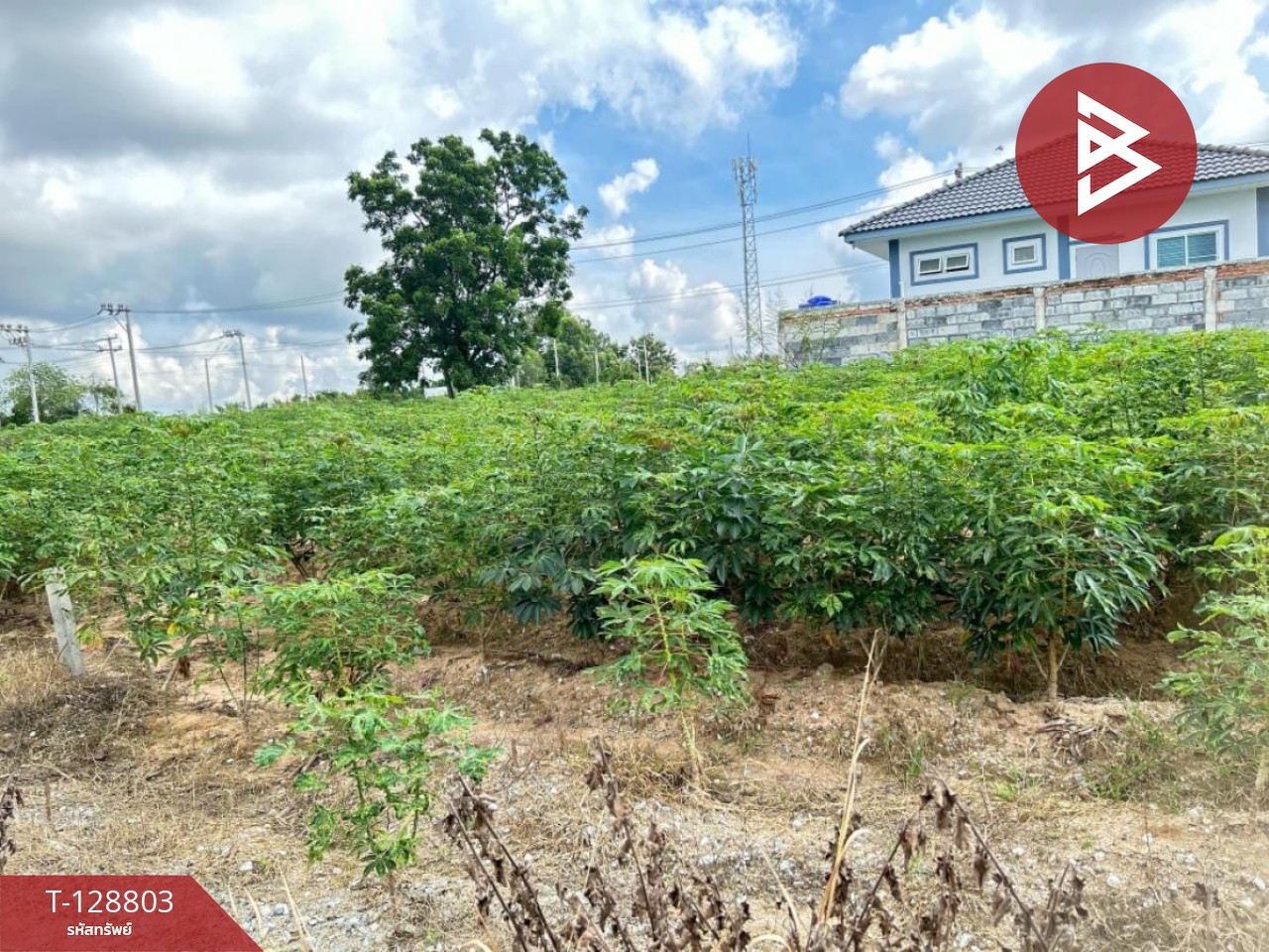 ขายที่ดิน เนื้อที่ 1 งาน 15 ตร.วา ศรีราชา ชลบุรี 4