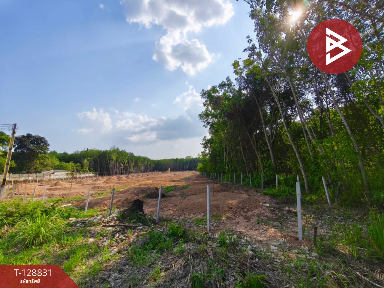 ขายที่ดิน เนื้อที่ 7 ไร่ 1 งาน 75 ตร.วา เพ ระยอง 7