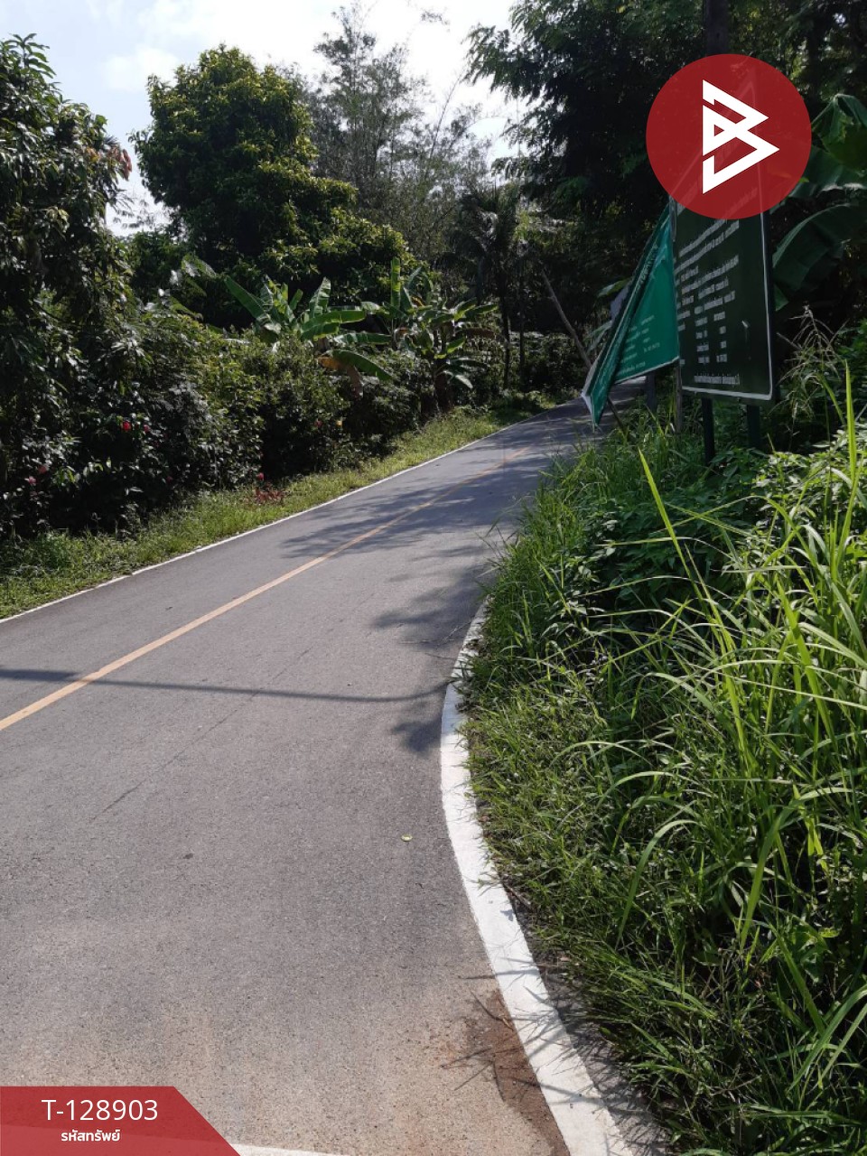 ขายที่ดิน เนื้อที่ 1 งาน 82 ตร.วา ท้ายเหมือง พังงา 4