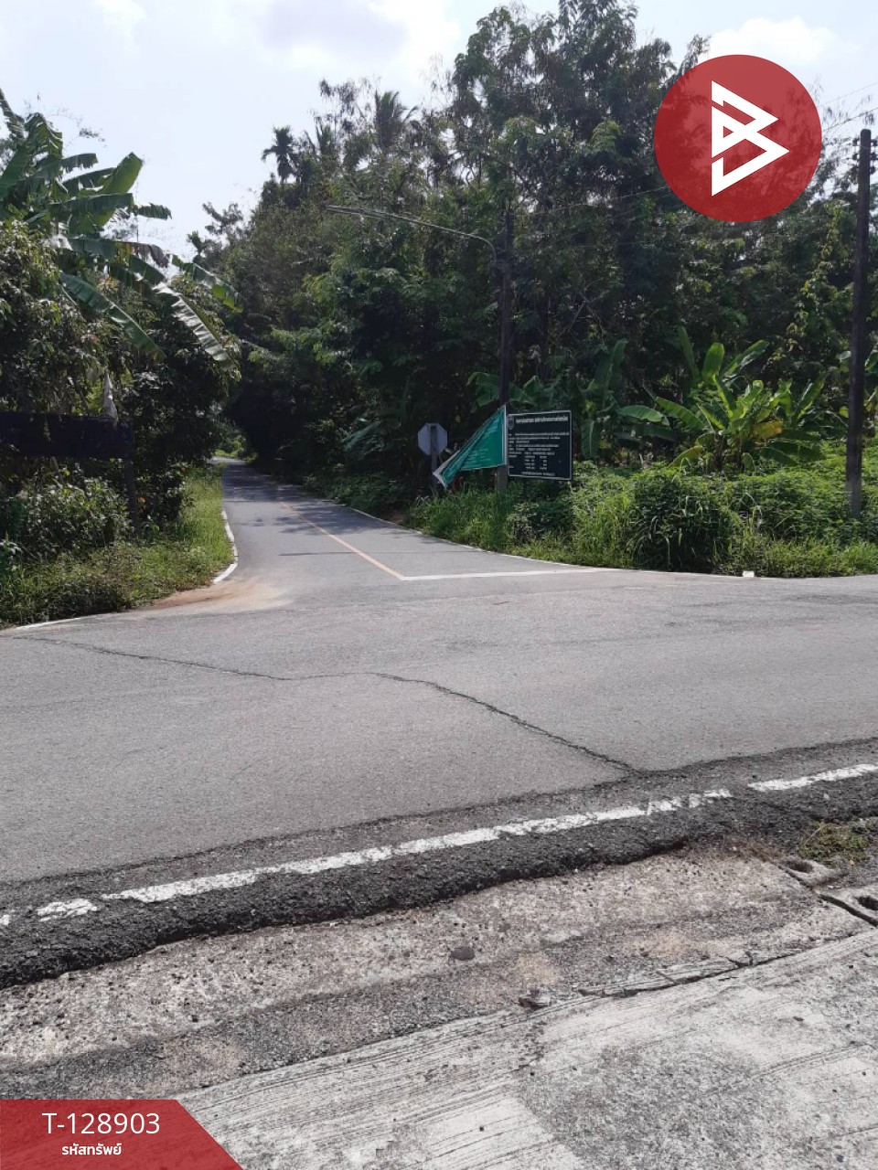 ขายที่ดิน เนื้อที่ 1 งาน 82 ตร.วา ท้ายเหมือง พังงา 1