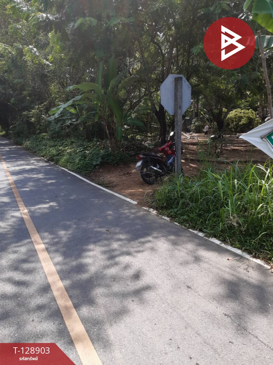 ขายที่ดิน เนื้อที่ 1 งาน 82 ตร.วา ท้ายเหมือง พังงา 5