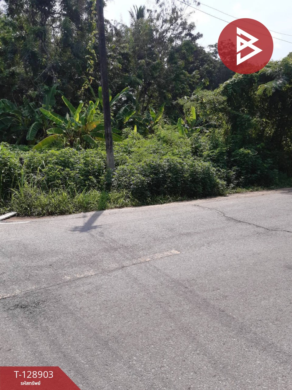 ขายที่ดิน เนื้อที่ 1 งาน 82 ตร.วา ท้ายเหมือง พังงา 2