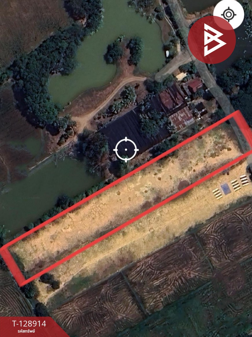 ขายที่ดิน เนื้อที่ 3 ไร่ 2 งาน 96.4 ตร.วา พลายชุมพล พิษณุโลก 11