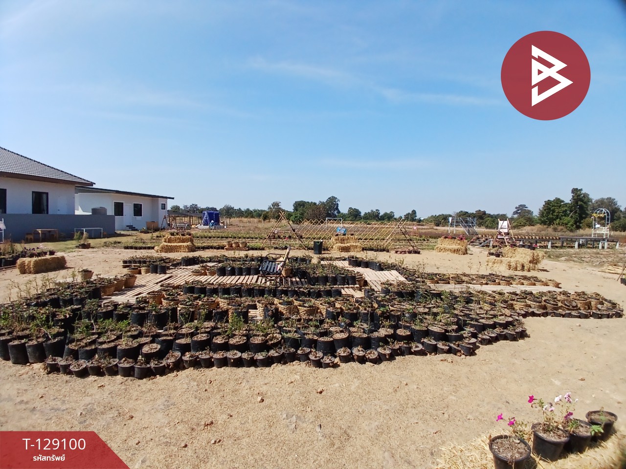 ขายที่ดินพร้อมสิ่งปลูกสร้าง เนื้อที่ 4 ไร่ 3 งาน 76.6 ตร.วา 11