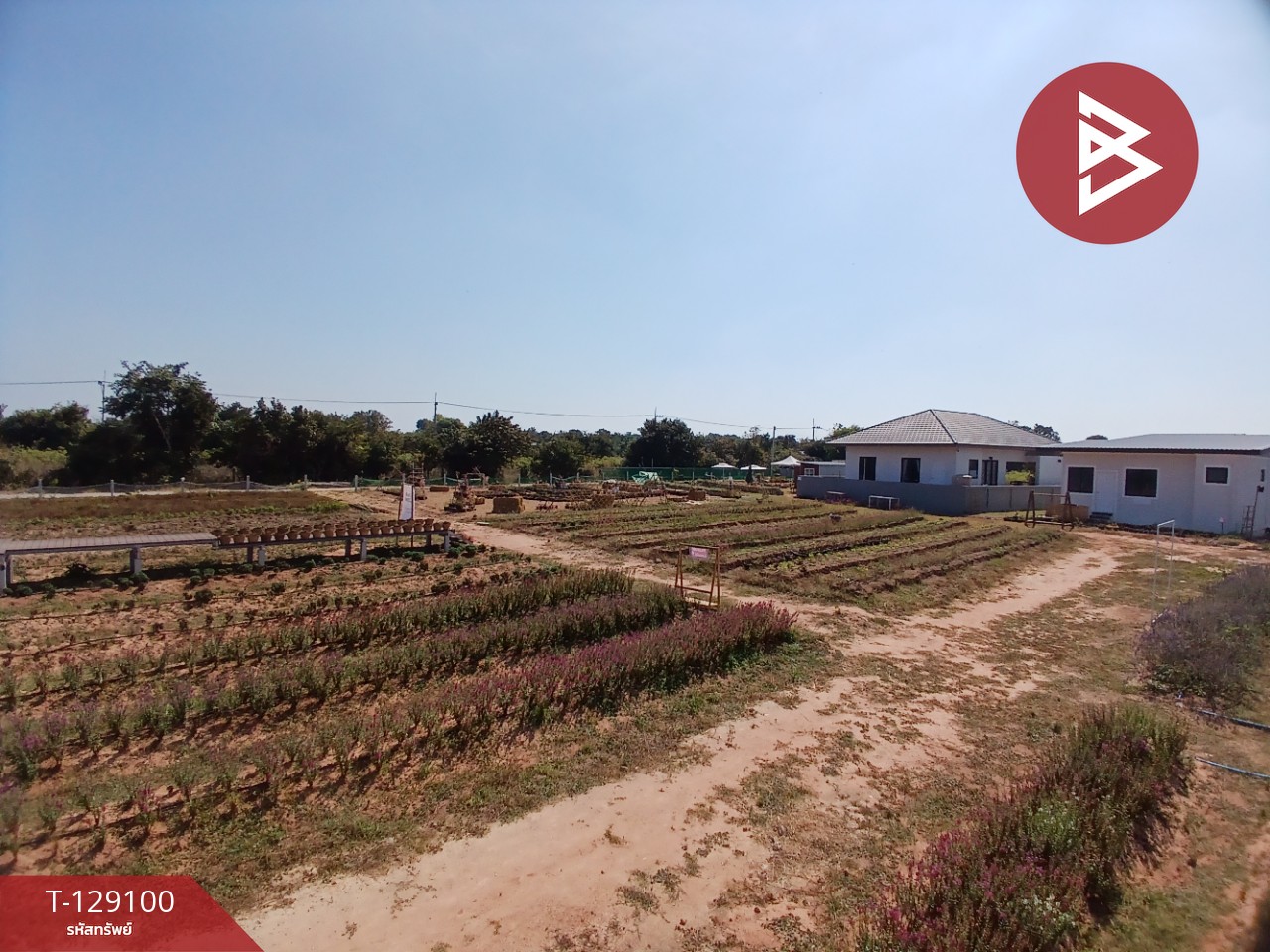 ขายที่ดินพร้อมสิ่งปลูกสร้าง เนื้อที่ 4 ไร่ 3 งาน 76.6 ตร.วา 15