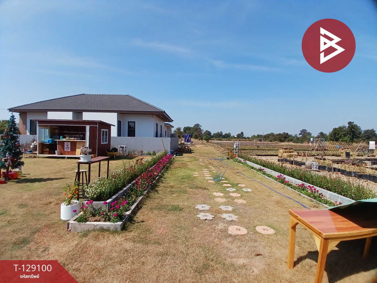 ขายที่ดินพร้อมสิ่งปลูกสร้าง เนื้อที่ 4 ไร่ 3 งาน 76.6 ตร.วา 7