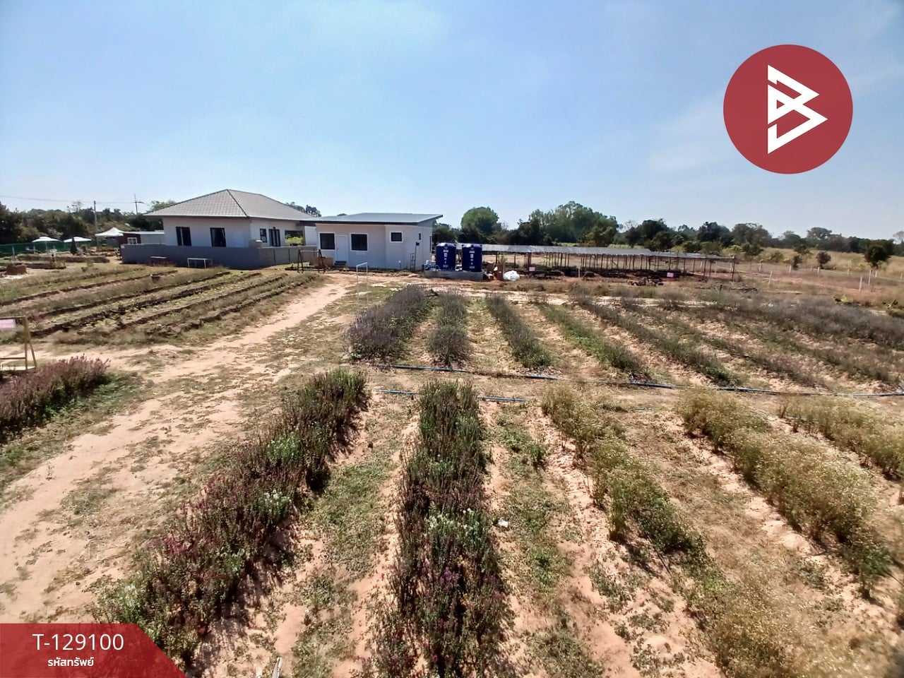 ขายที่ดินพร้อมสิ่งปลูกสร้าง เนื้อที่ 4 ไร่ 3 งาน 76.6 ตร.วา 10