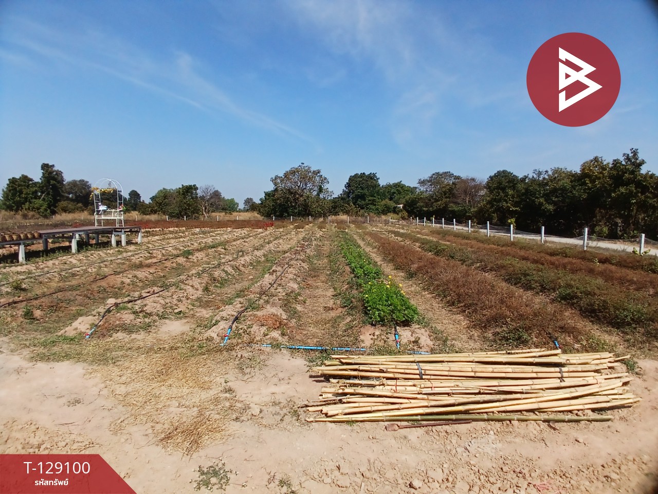 ขายที่ดินพร้อมสิ่งปลูกสร้าง เนื้อที่ 4 ไร่ 3 งาน 76.6 ตร.วา 13