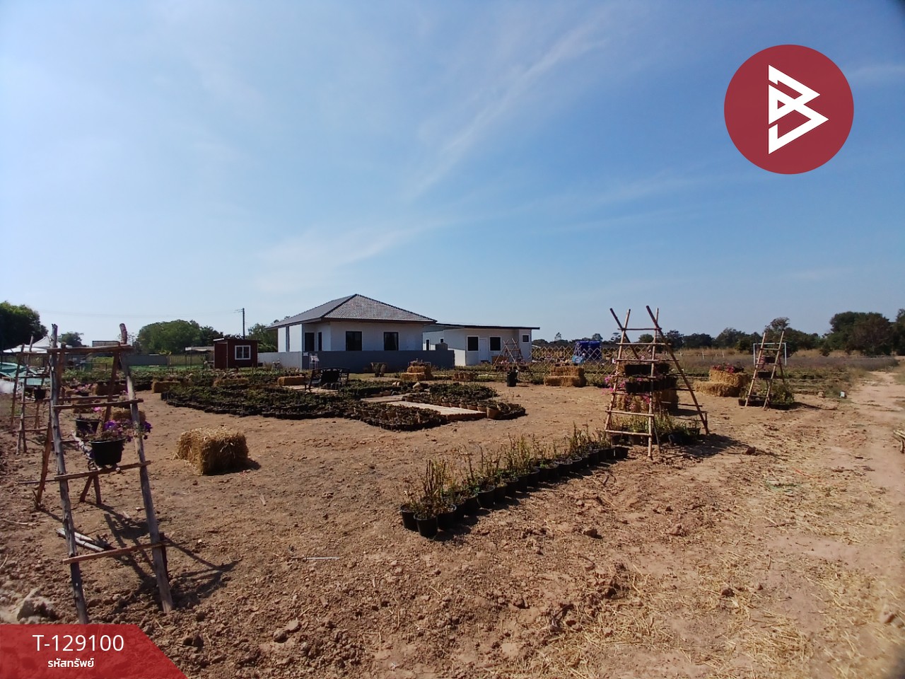 ขายที่ดินพร้อมสิ่งปลูกสร้าง เนื้อที่ 4 ไร่ 3 งาน 76.6 ตร.วา 6