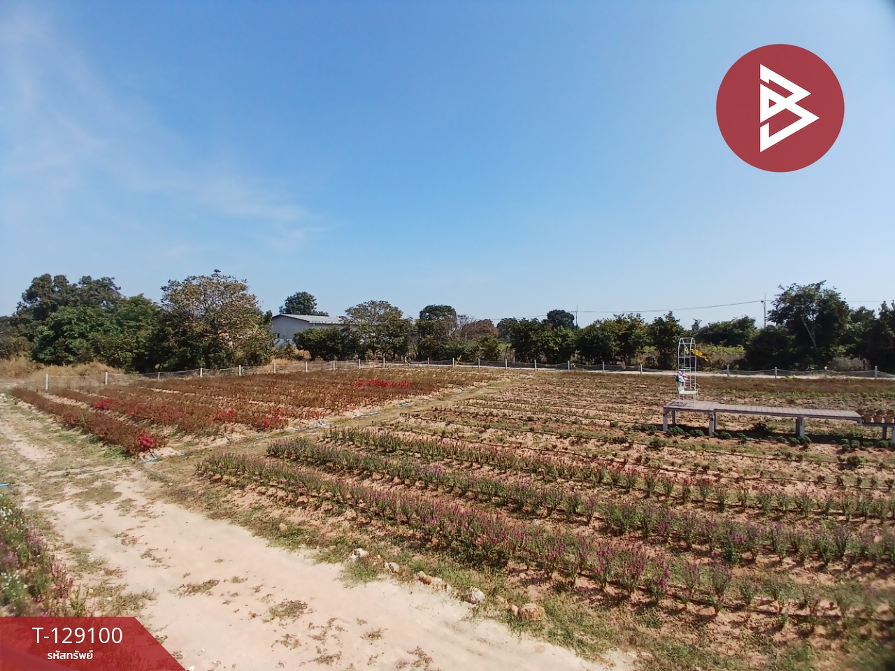 ขายที่ดินพร้อมสิ่งปลูกสร้าง เนื้อที่ 4 ไร่ 3 งาน 76.6 ตร.วา 14