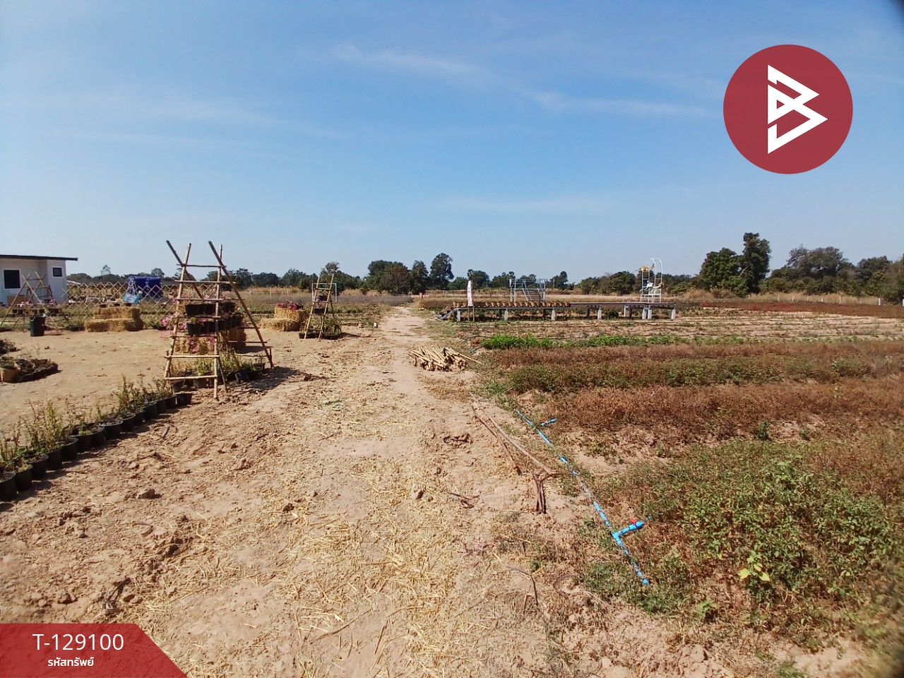 ขายที่ดินพร้อมสิ่งปลูกสร้าง เนื้อที่ 4 ไร่ 3 งาน 76.6 ตร.วา 9