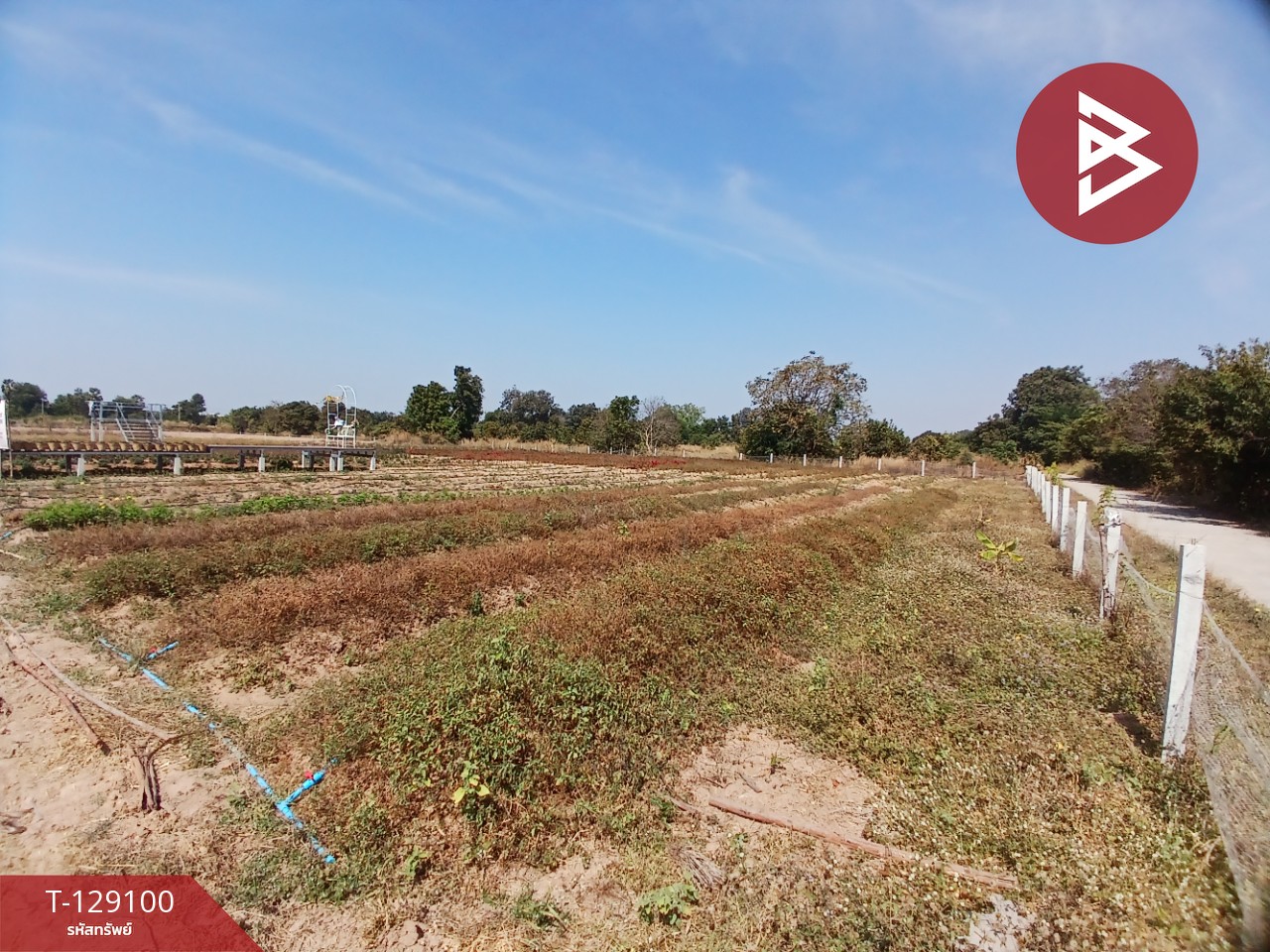 ขายที่ดินพร้อมสิ่งปลูกสร้าง เนื้อที่ 4 ไร่ 3 งาน 76.6 ตร.วา 8