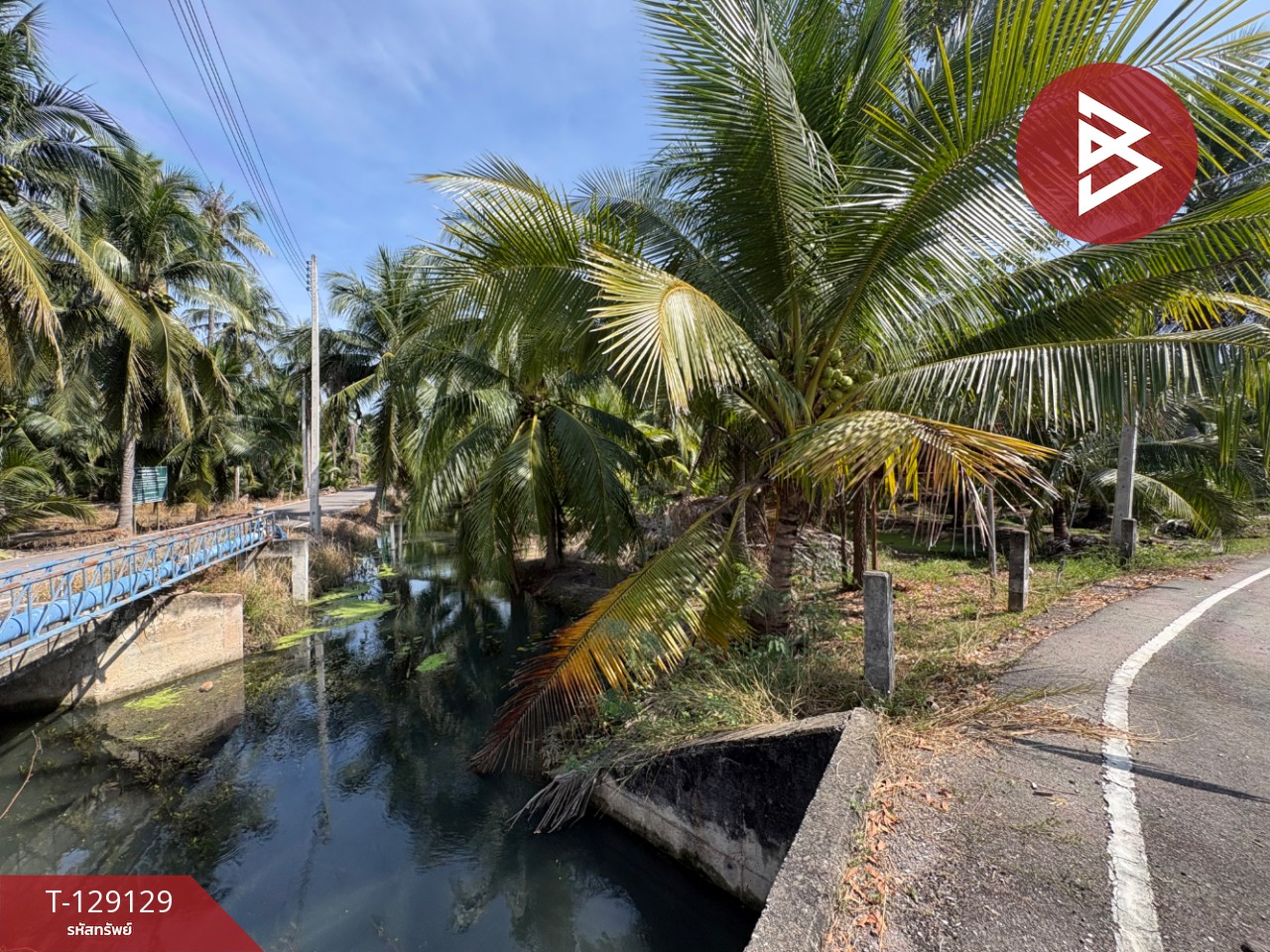 ขายที่ดิน เนื้อที่ 1 ไร่ 2 งาน 66 ตร.วา อัมพวา สมุทรสงคราม 10