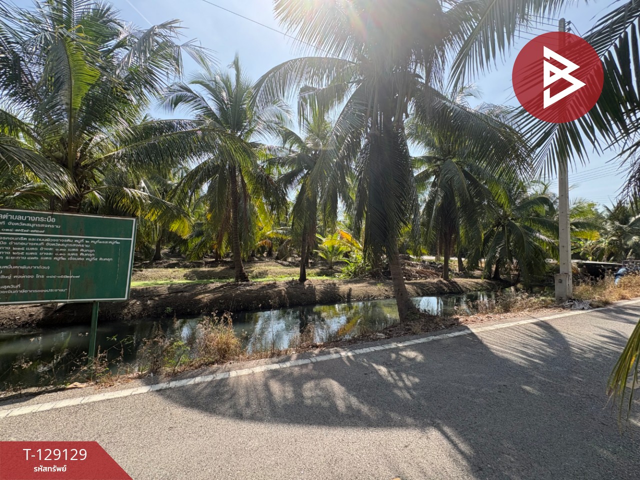 ขายที่ดิน เนื้อที่ 1 ไร่ 2 งาน 66 ตร.วา อัมพวา สมุทรสงคราม 12