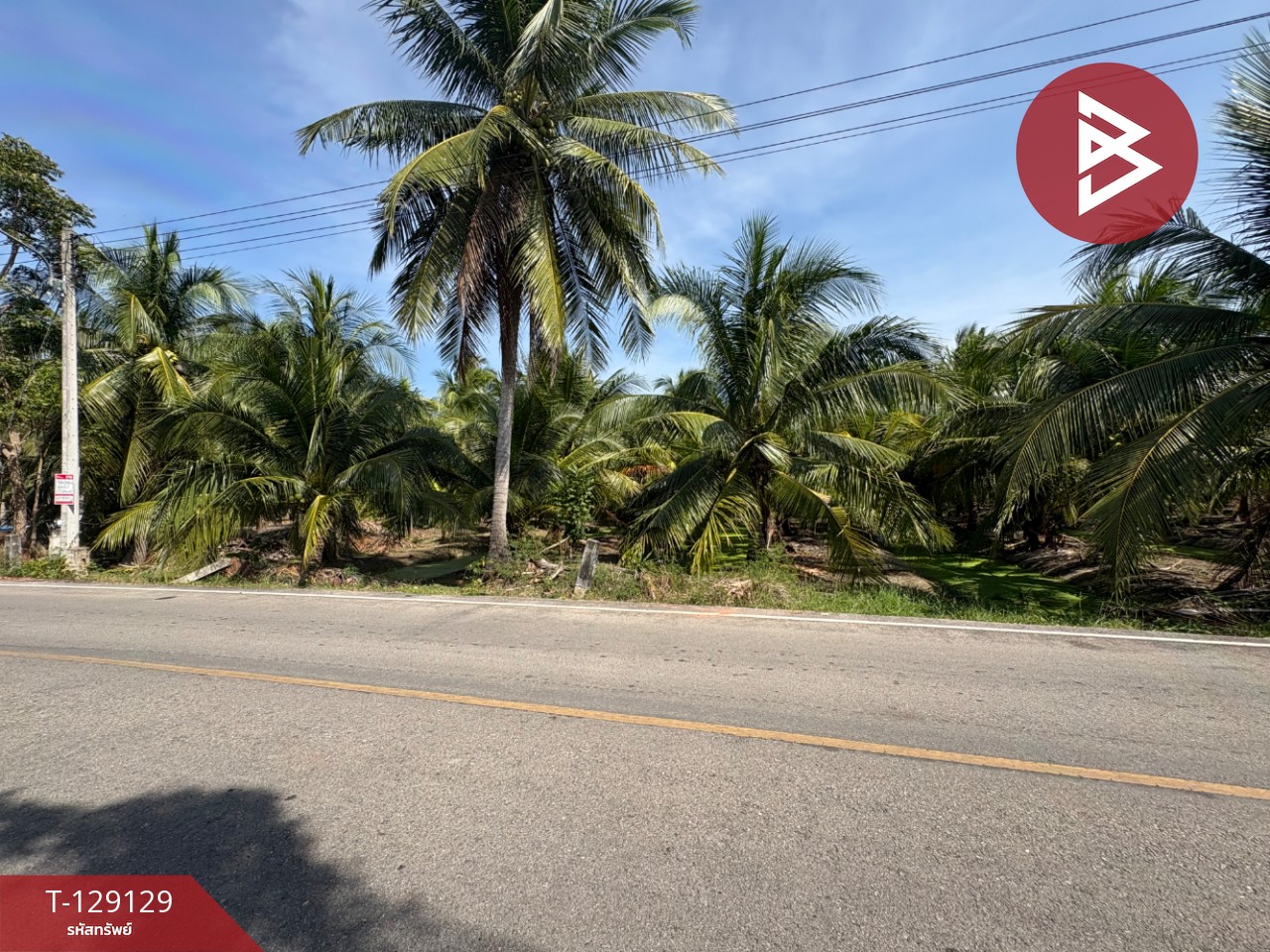 ขายที่ดิน เนื้อที่ 1 ไร่ 2 งาน 66 ตร.วา อัมพวา สมุทรสงคราม 5