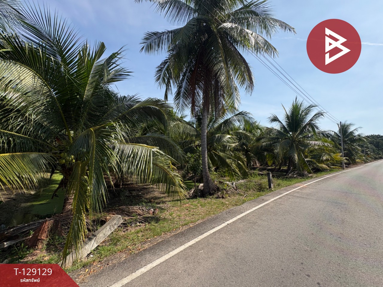 ขายที่ดิน เนื้อที่ 1 ไร่ 2 งาน 66 ตร.วา อัมพวา สมุทรสงคราม 7