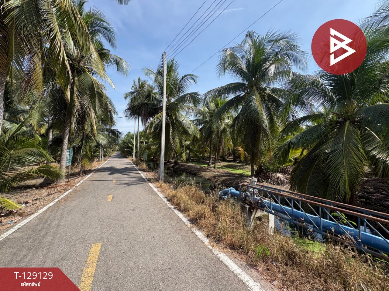 ขายที่ดิน เนื้อที่ 1 ไร่ 2 งาน 66 ตร.วา อัมพวา สมุทรสงคราม 13