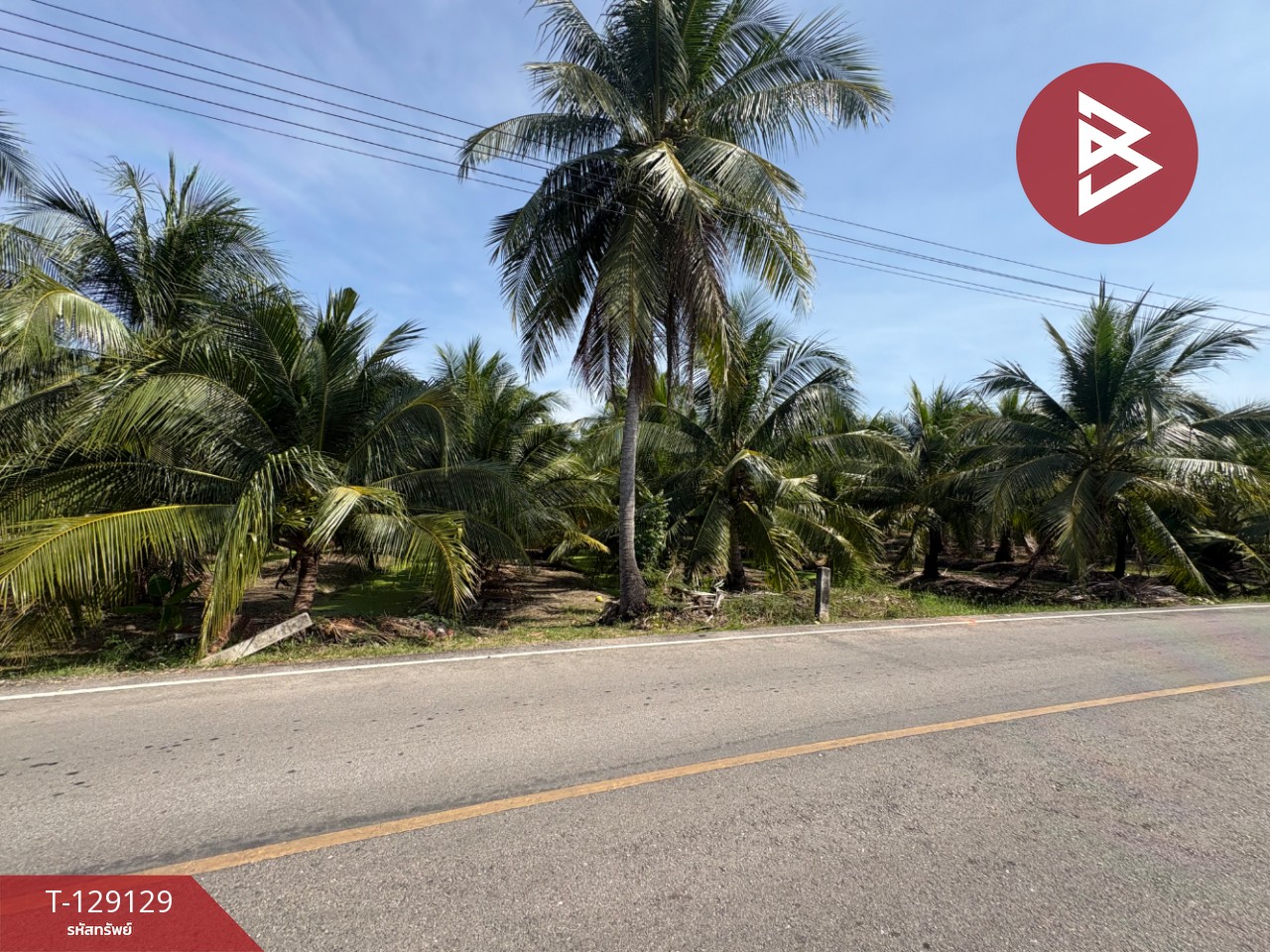 ขายที่ดิน เนื้อที่ 1 ไร่ 2 งาน 66 ตร.วา อัมพวา สมุทรสงคราม 3