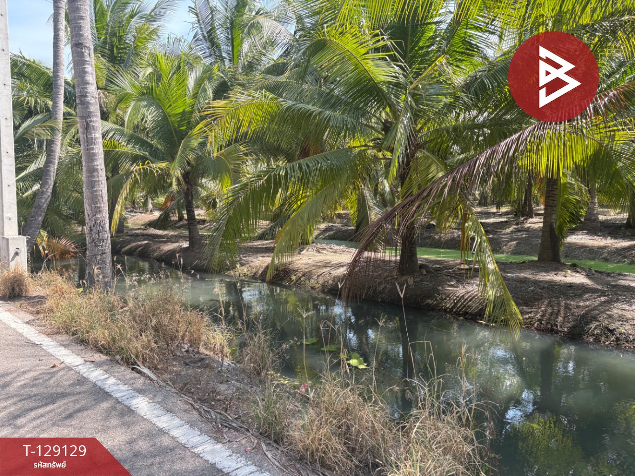 ขายที่ดิน เนื้อที่ 1 ไร่ 2 งาน 66 ตร.วา อัมพวา สมุทรสงคราม 15