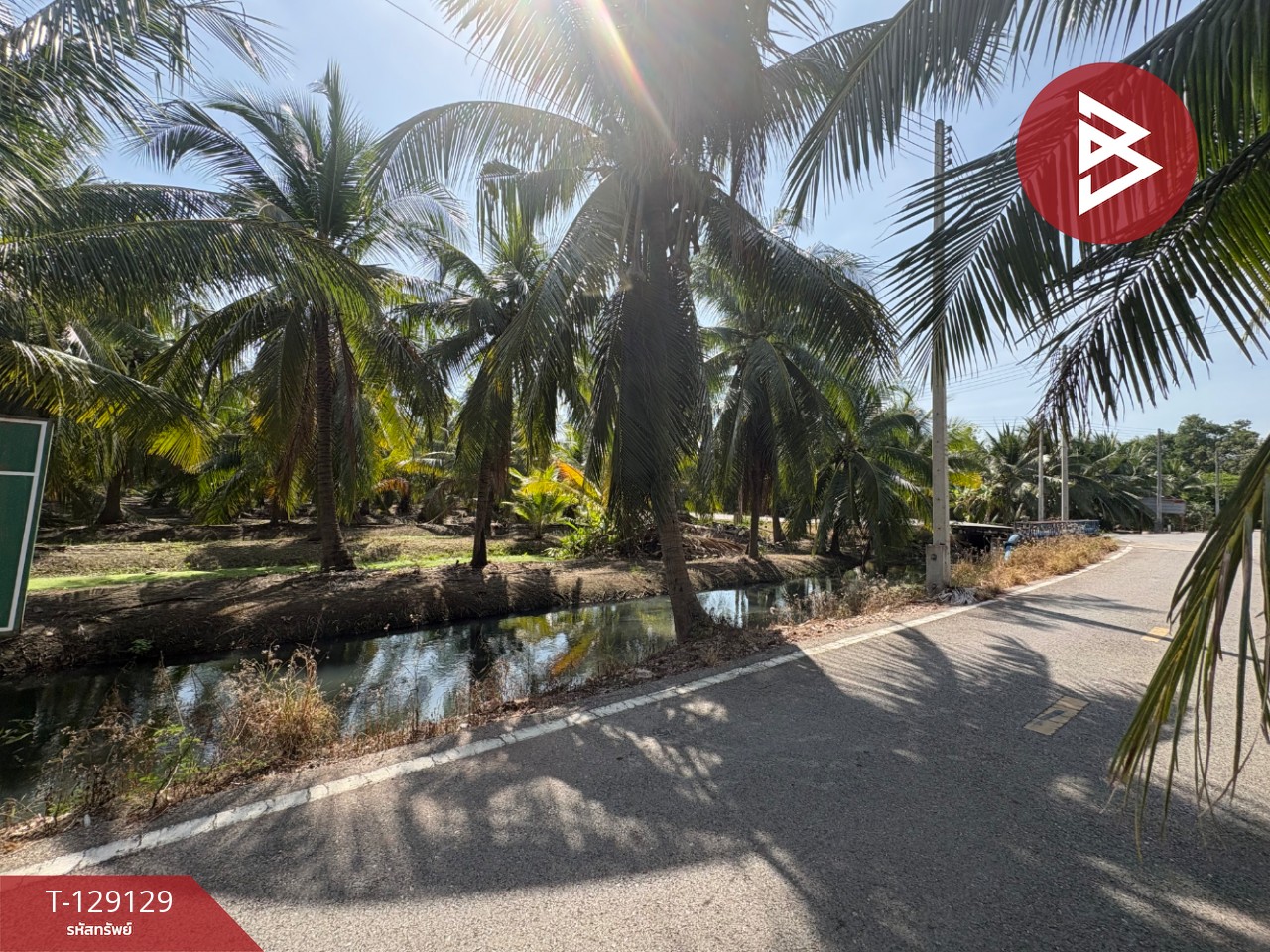 ขายที่ดิน เนื้อที่ 1 ไร่ 2 งาน 66 ตร.วา อัมพวา สมุทรสงคราม 14