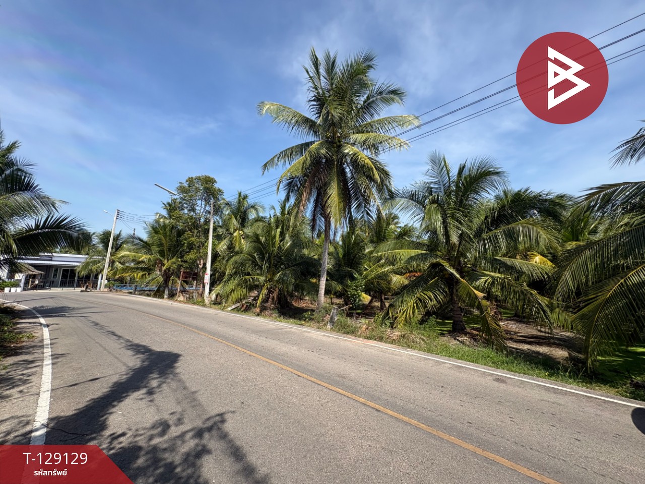 ขายที่ดิน เนื้อที่ 1 ไร่ 2 งาน 66 ตร.วา อัมพวา สมุทรสงคราม 1