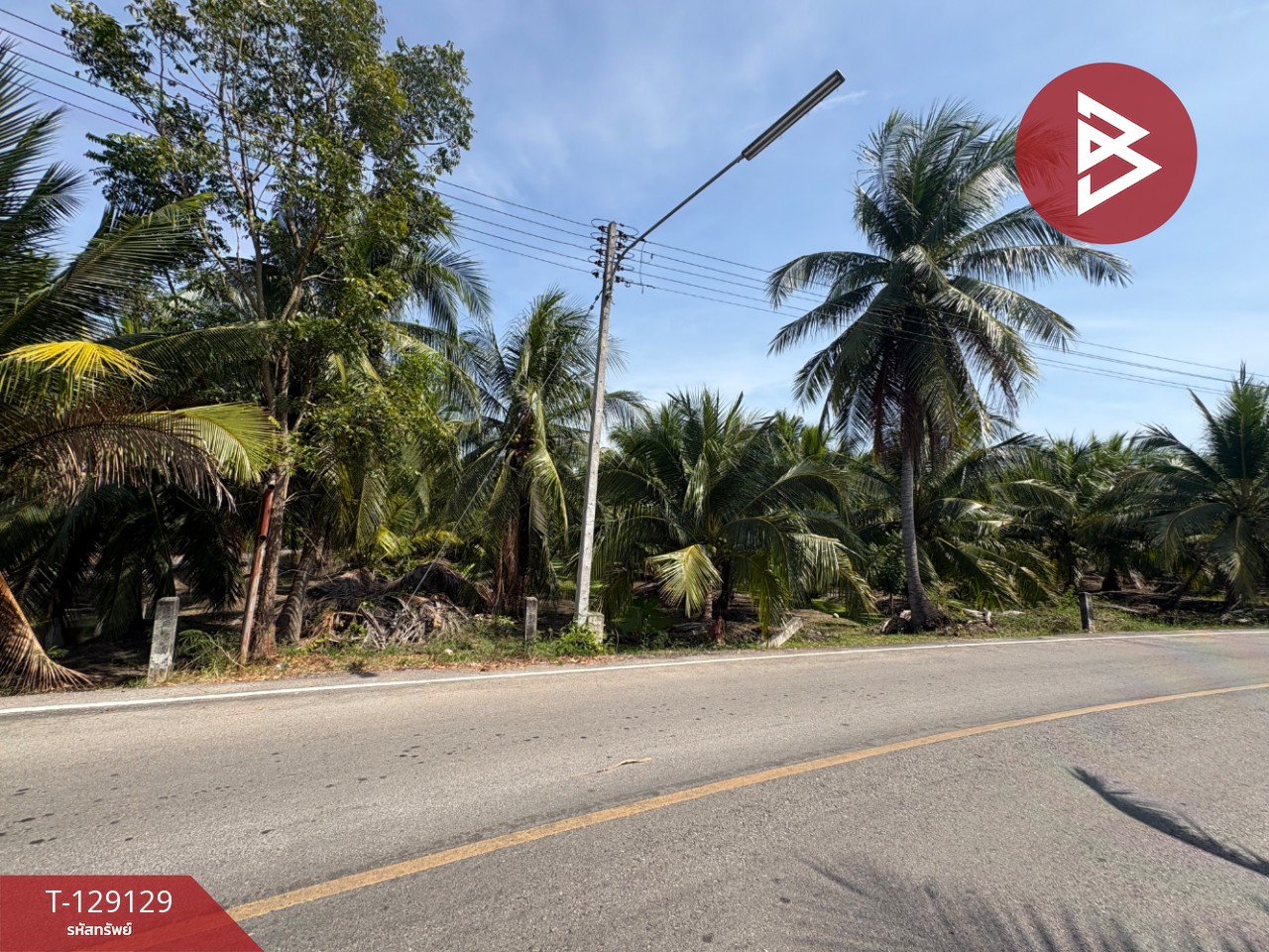 ขายที่ดิน เนื้อที่ 1 ไร่ 2 งาน 66 ตร.วา อัมพวา สมุทรสงคราม 11