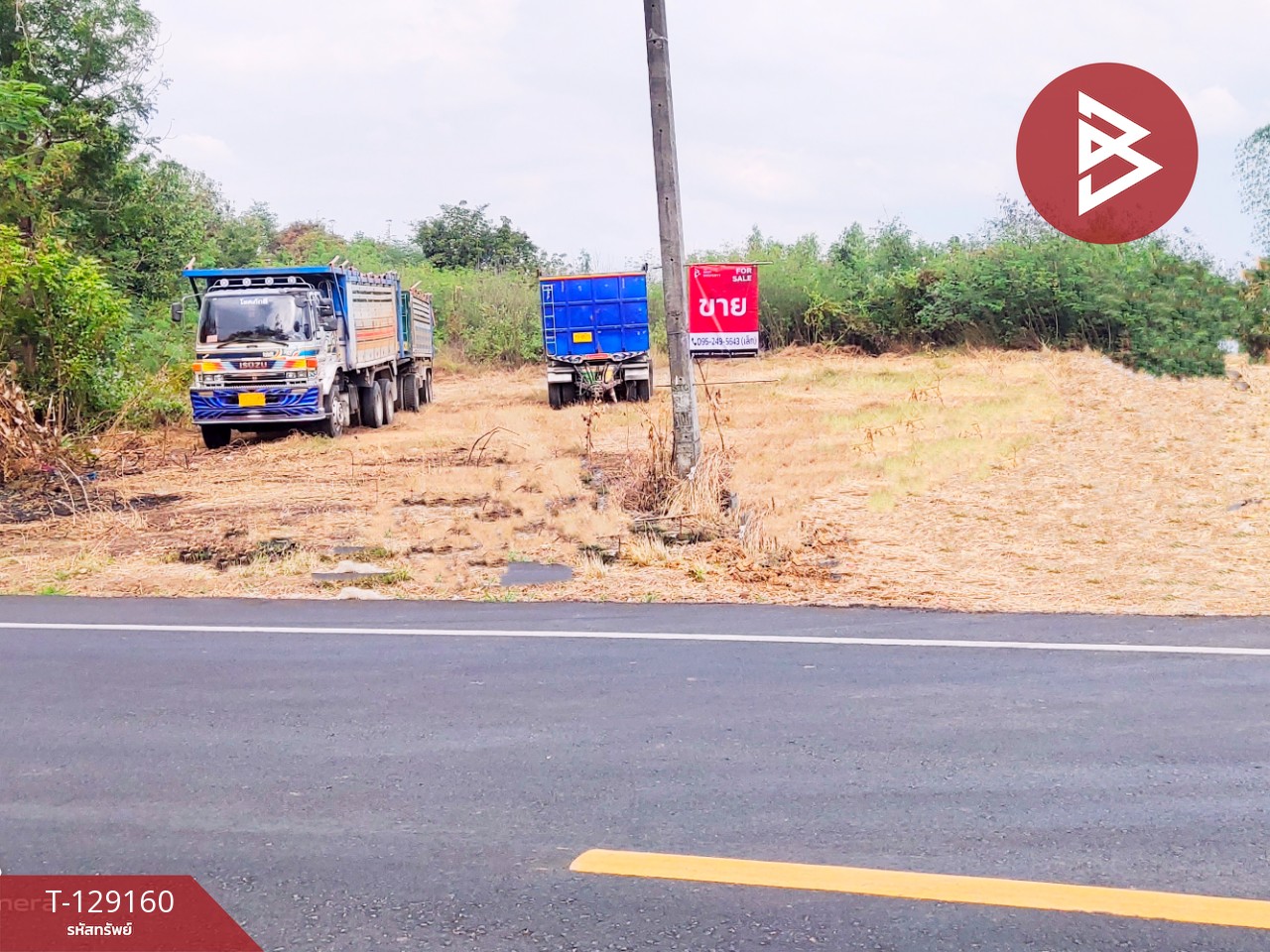 ขายที่ดินติดถนน เนื้อที่ 3 ไร่ หนองไผ่ เพชรบูรณ์ 4