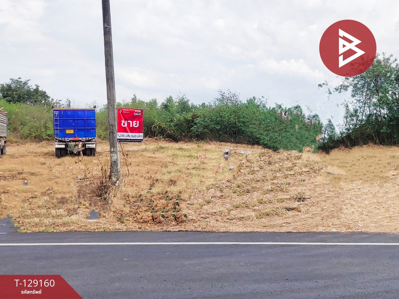 ขายที่ดินติดถนน เนื้อที่ 3 ไร่ หนองไผ่ เพชรบูรณ์ 1