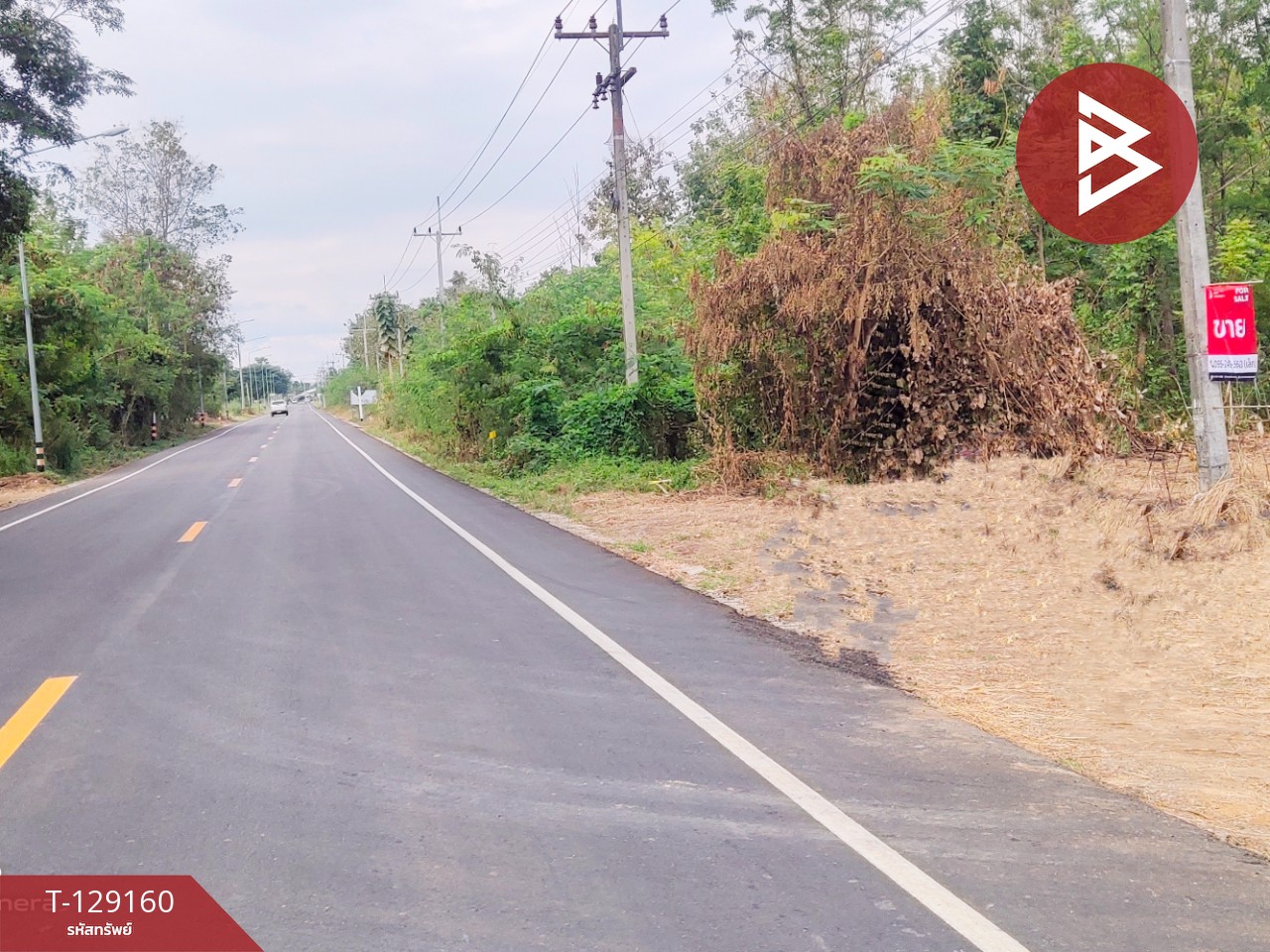 ขายที่ดินติดถนน เนื้อที่ 3 ไร่ หนองไผ่ เพชรบูรณ์ 9