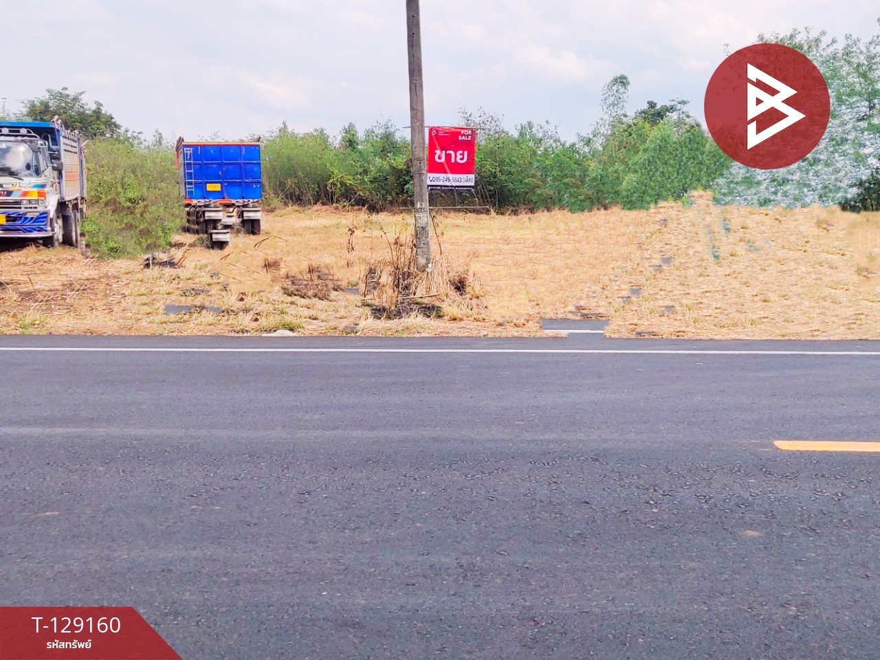 ขายที่ดินติดถนน เนื้อที่ 3 ไร่ หนองไผ่ เพชรบูรณ์ 2