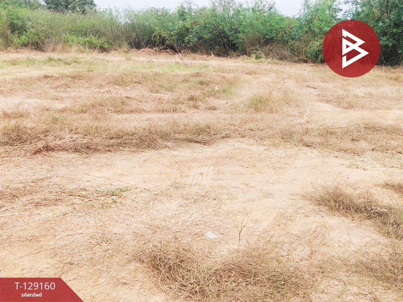 ขายที่ดินติดถนน เนื้อที่ 3 ไร่ หนองไผ่ เพชรบูรณ์ 7