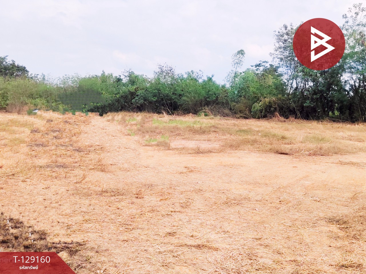 ขายที่ดินติดถนน เนื้อที่ 3 ไร่ หนองไผ่ เพชรบูรณ์ 6