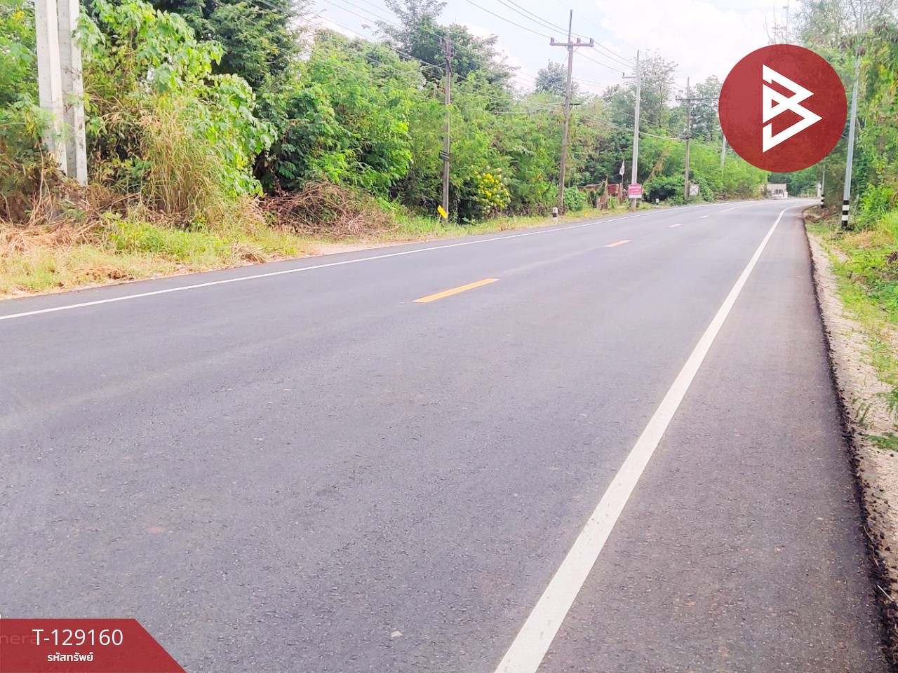 ขายที่ดินติดถนน เนื้อที่ 3 ไร่ หนองไผ่ เพชรบูรณ์ 8