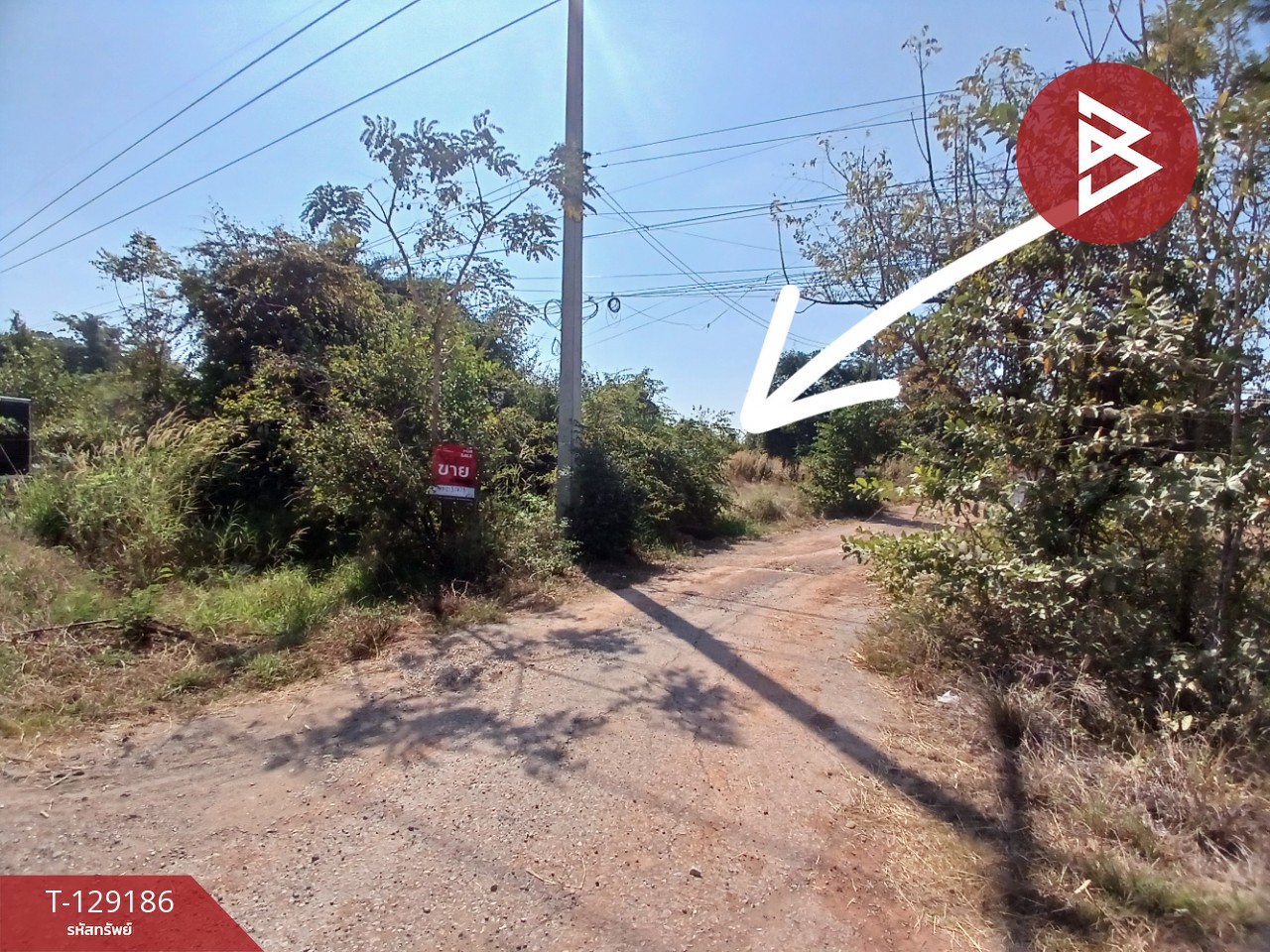 ขายที่ดินแปลงมุม เนื้อที่ 120 ตารางวา เมืองนครราชสีมา นครราชสีมา 7