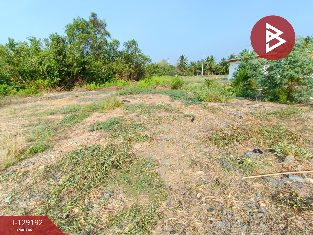 ขายที่ดิน เนื้อที่ 2 งาน 1.3 ตร.วา บ้านแพ้ว สมุทรสาคร 5