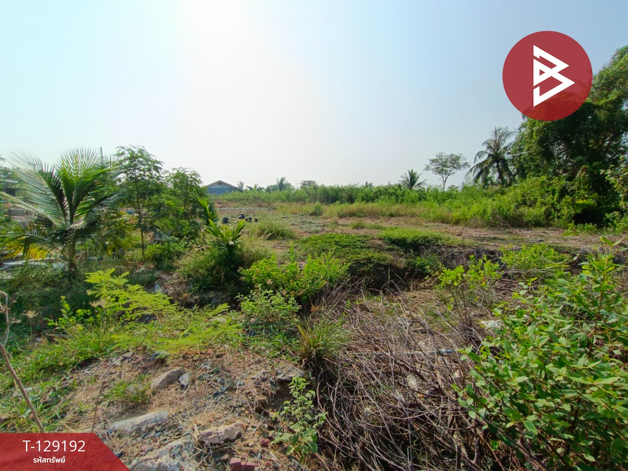 ขายที่ดิน เนื้อที่ 2 งาน 1.3 ตร.วา บ้านแพ้ว สมุทรสาคร 7