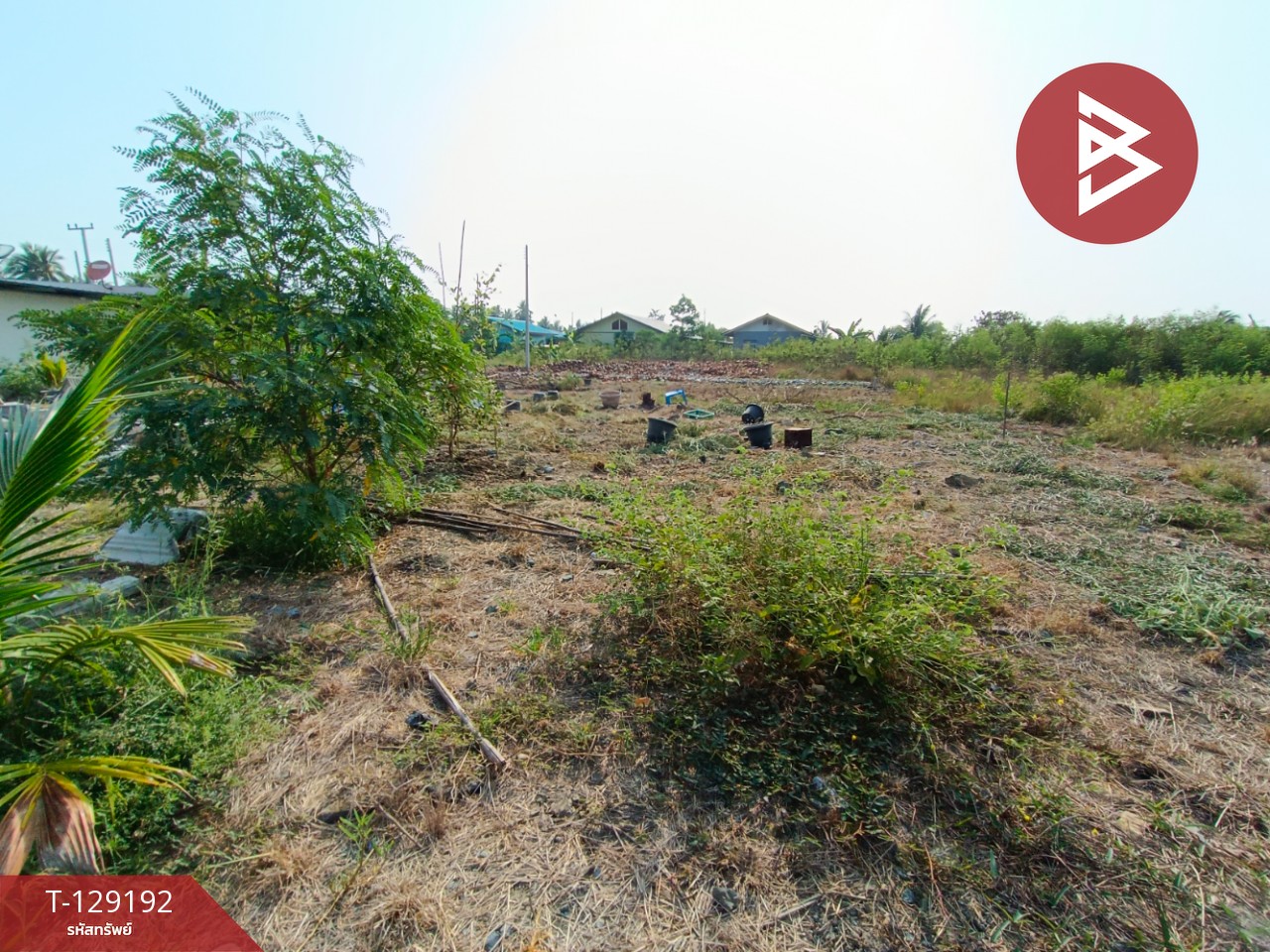 ขายที่ดิน เนื้อที่ 2 งาน 1.3 ตร.วา บ้านแพ้ว สมุทรสาคร 8