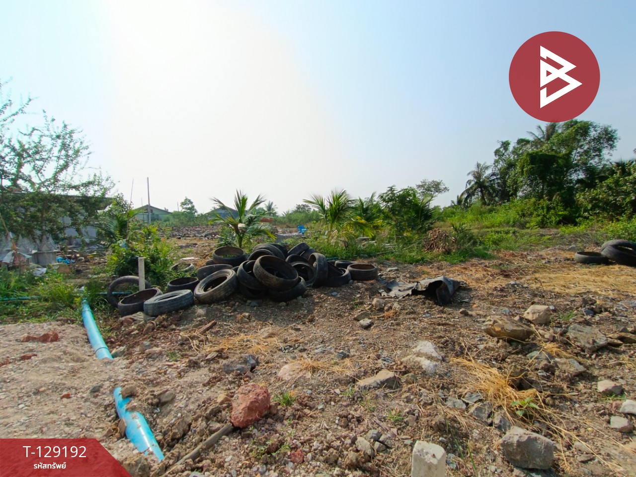 ขายที่ดิน เนื้อที่ 2 งาน 1.3 ตร.วา บ้านแพ้ว สมุทรสาคร 6