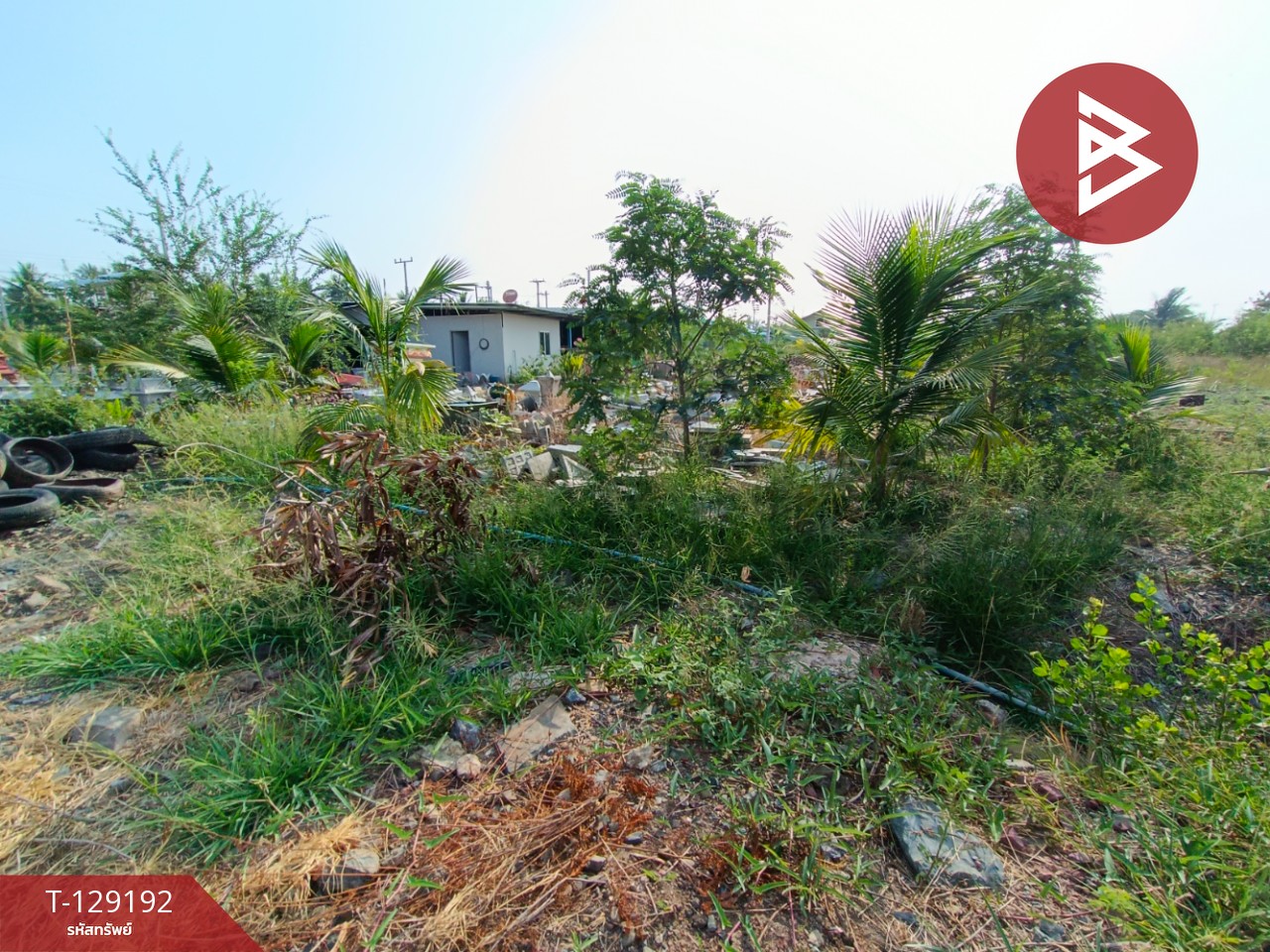 ขายที่ดิน เนื้อที่ 2 งาน 1.3 ตร.วา บ้านแพ้ว สมุทรสาคร 2