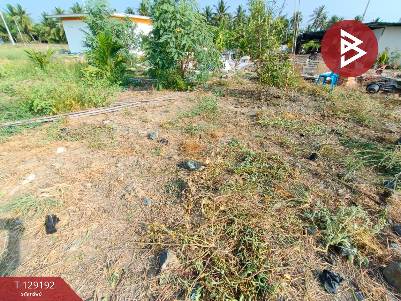 ขายที่ดิน เนื้อที่ 2 งาน 1.3 ตร.วา บ้านแพ้ว สมุทรสาคร 10
