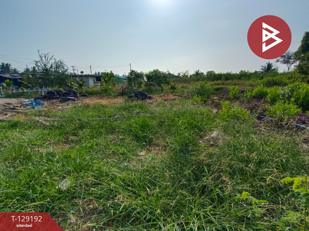 ขายที่ดิน เนื้อที่ 2 งาน 1.3 ตร.วา บ้านแพ้ว สมุทรสาคร 1