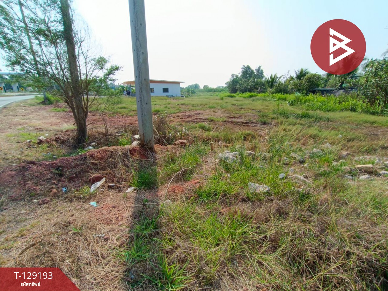 ขายที่ดิน เนื้อที่ 1 งาน 4.8 ตร.วา บ้านแพ้ว สมุทรสาคร 7