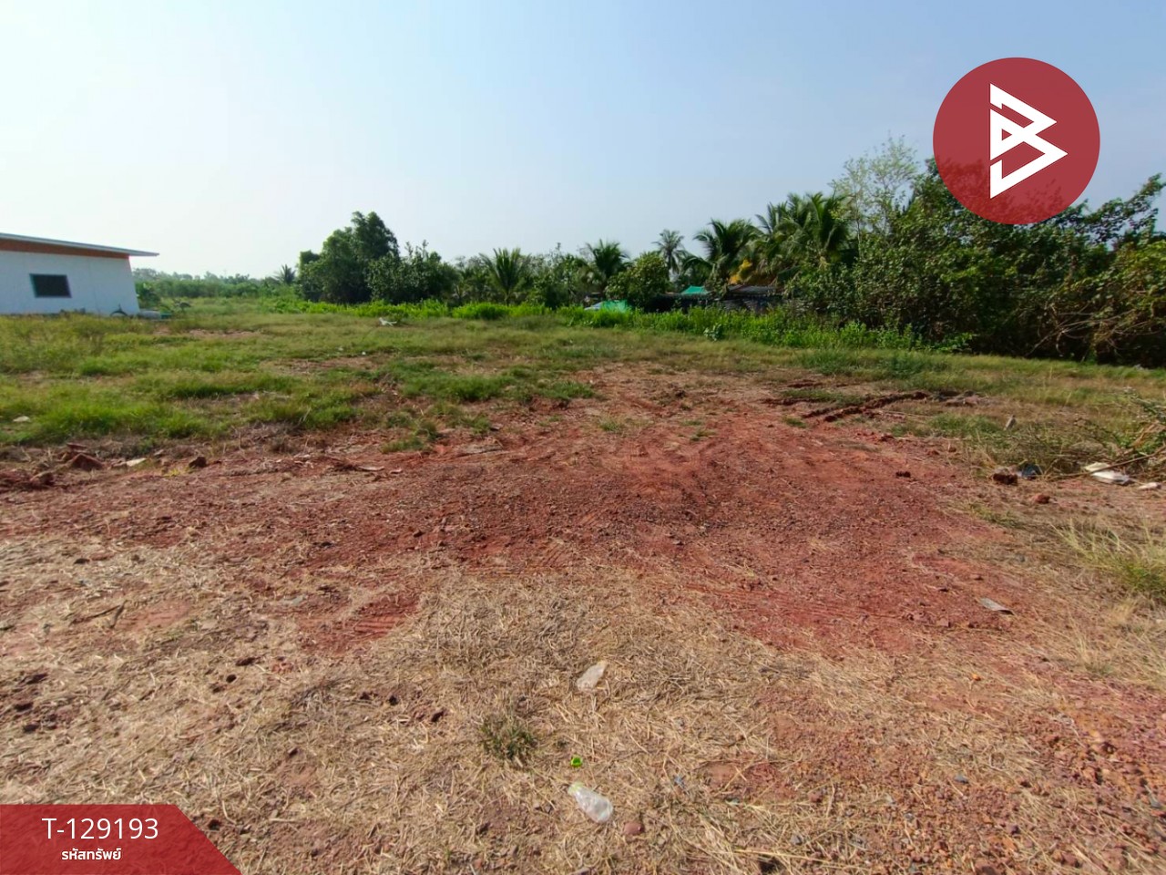 ขายที่ดิน เนื้อที่ 1 งาน 4.8 ตร.วา บ้านแพ้ว สมุทรสาคร 6