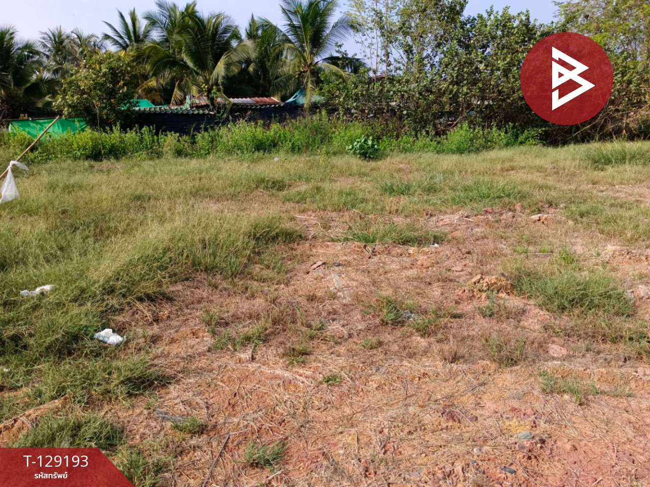 ขายที่ดิน เนื้อที่ 1 งาน 4.8 ตร.วา บ้านแพ้ว สมุทรสาคร 9