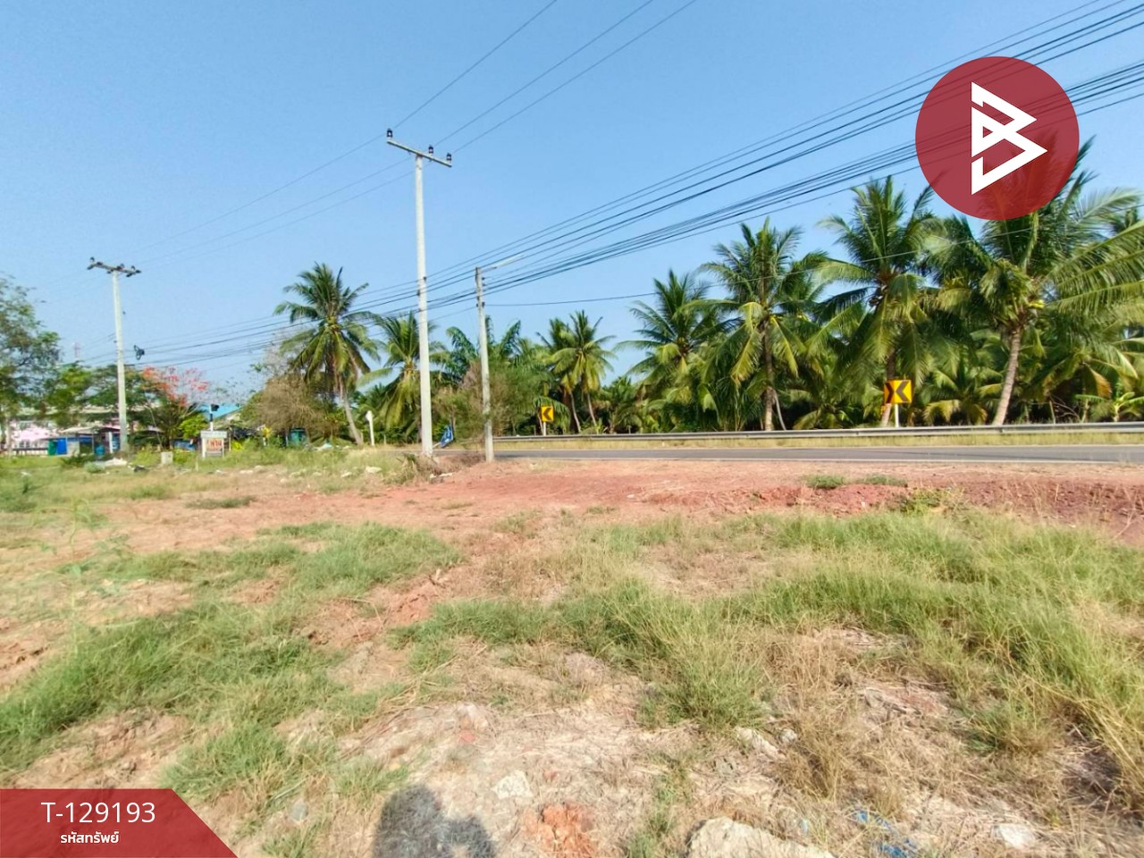 ขายที่ดิน เนื้อที่ 1 งาน 4.8 ตร.วา บ้านแพ้ว สมุทรสาคร 4