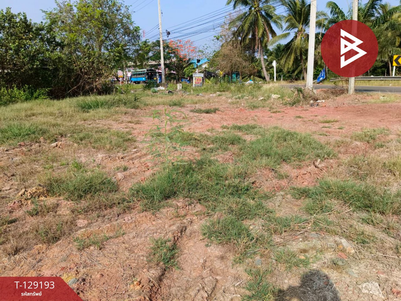 ขายที่ดิน เนื้อที่ 1 งาน 4.8 ตร.วา บ้านแพ้ว สมุทรสาคร 8